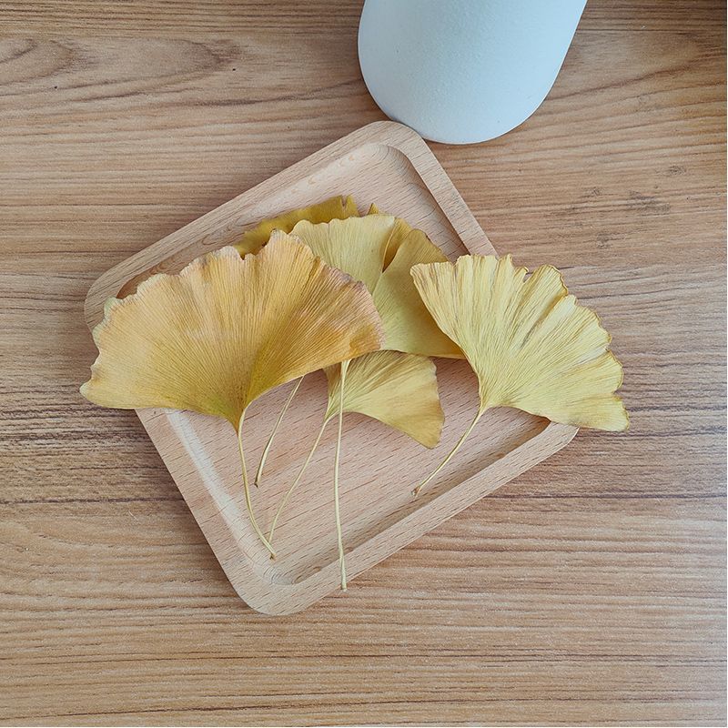 Natural Ginkgo Biloba Dried Le - Natural Making Soap recension och pris